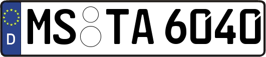 MS-TA6040