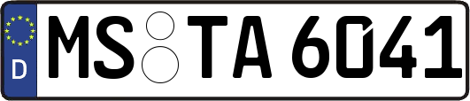 MS-TA6041