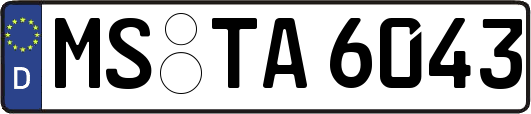 MS-TA6043