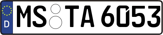 MS-TA6053
