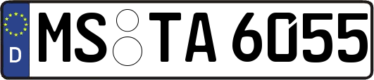 MS-TA6055