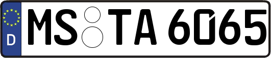 MS-TA6065