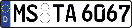 MS-TA6067