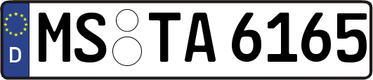 MS-TA6165