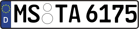 MS-TA6175