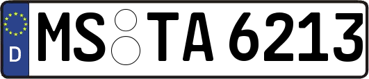 MS-TA6213