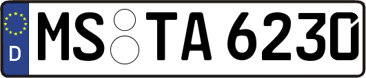 MS-TA6230