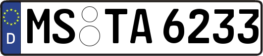 MS-TA6233