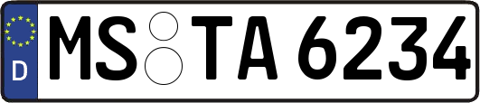 MS-TA6234