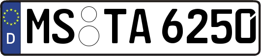 MS-TA6250