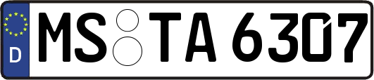 MS-TA6307