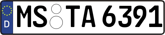 MS-TA6391