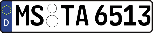 MS-TA6513