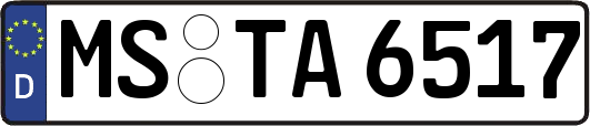 MS-TA6517