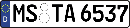 MS-TA6537