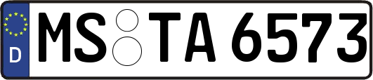 MS-TA6573