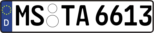 MS-TA6613