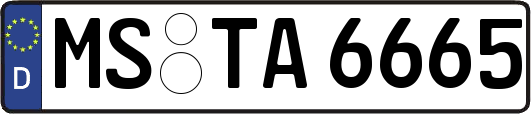 MS-TA6665