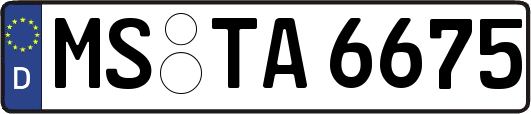 MS-TA6675