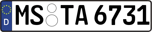 MS-TA6731