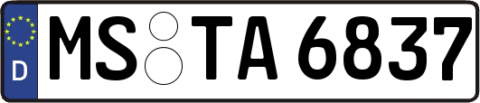 MS-TA6837
