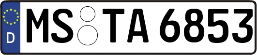 MS-TA6853