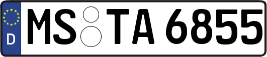 MS-TA6855