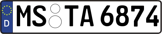 MS-TA6874