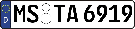 MS-TA6919