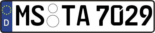 MS-TA7029