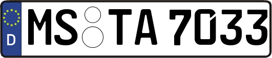MS-TA7033