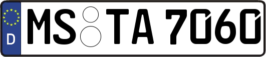 MS-TA7060