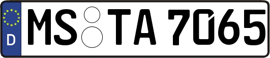 MS-TA7065