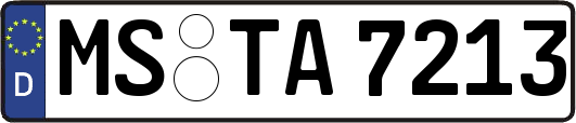 MS-TA7213