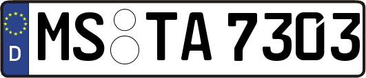 MS-TA7303