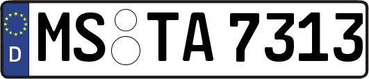 MS-TA7313