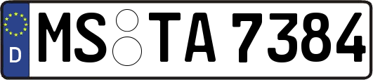 MS-TA7384
