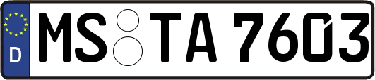 MS-TA7603
