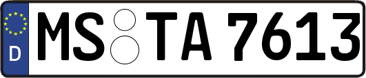 MS-TA7613