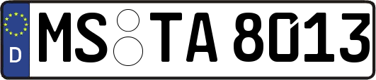 MS-TA8013