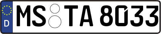 MS-TA8033