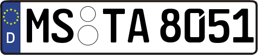 MS-TA8051