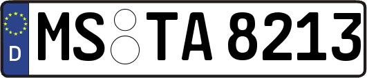 MS-TA8213
