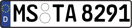 MS-TA8291
