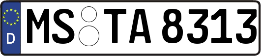 MS-TA8313