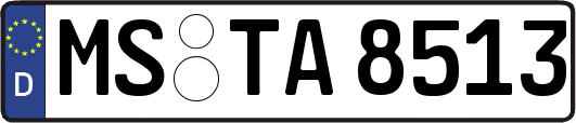 MS-TA8513
