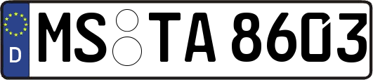 MS-TA8603