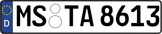 MS-TA8613