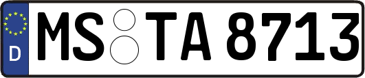 MS-TA8713