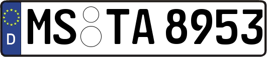 MS-TA8953